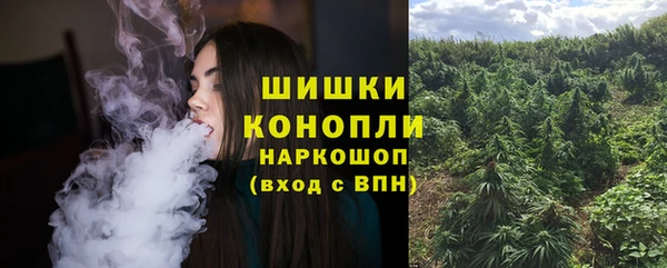 ГАЛЛЮЦИНОГЕННЫЕ ГРИБЫ Костерёво