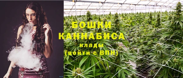 ГАЛЛЮЦИНОГЕННЫЕ ГРИБЫ Костерёво