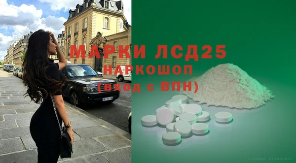 ГАЛЛЮЦИНОГЕННЫЕ ГРИБЫ Костерёво